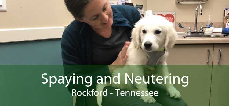 Spaying and Neutering Rockford - Tennessee