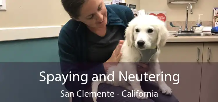 Spaying and Neutering San Clemente - California