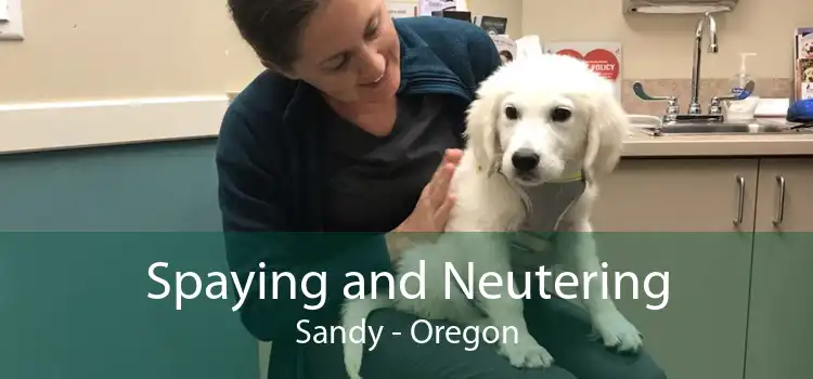 Spaying and Neutering Sandy - Oregon