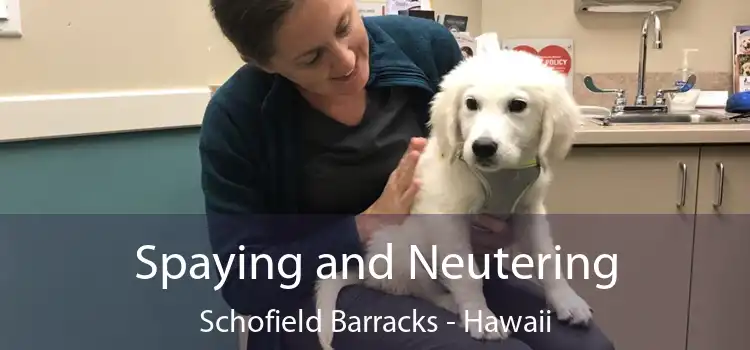 Spaying and Neutering Schofield Barracks - Hawaii