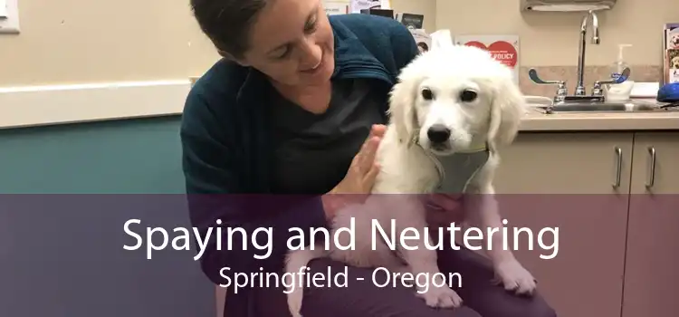 Spaying and Neutering Springfield - Oregon