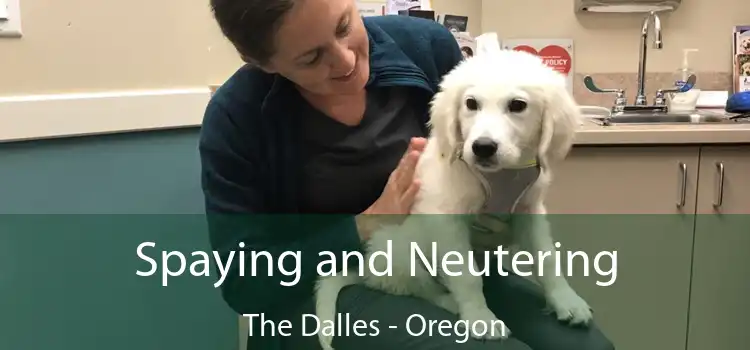 Spaying and Neutering The Dalles - Oregon