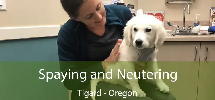 Spaying and Neutering Tigard - Oregon