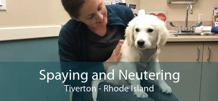Spaying and Neutering Tiverton - Rhode Island
