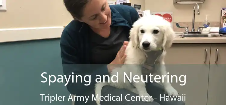 Spaying and Neutering Tripler Army Medical Center - Hawaii