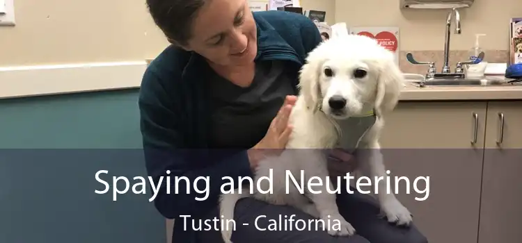 Spaying and Neutering Tustin - California