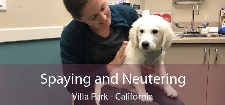 Spaying and Neutering Villa Park - California