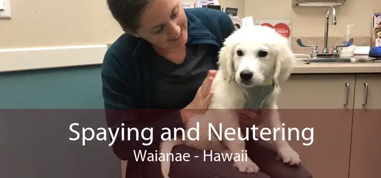 Spaying and Neutering Waianae - Hawaii