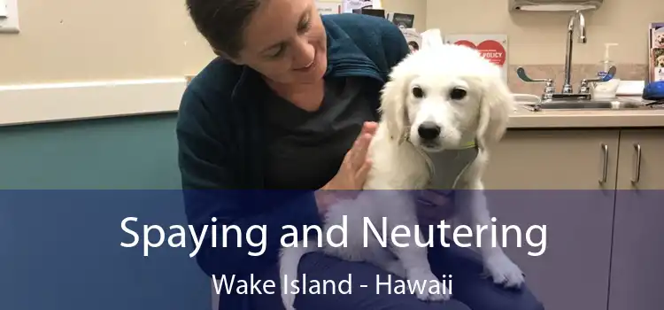 Spaying and Neutering Wake Island - Hawaii