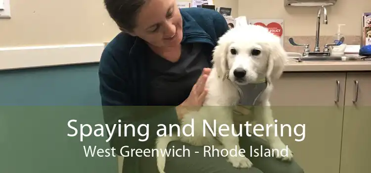 Spaying and Neutering West Greenwich - Rhode Island