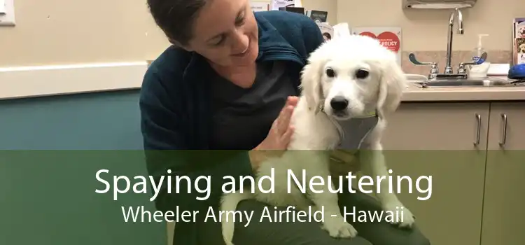 Spaying and Neutering Wheeler Army Airfield - Hawaii