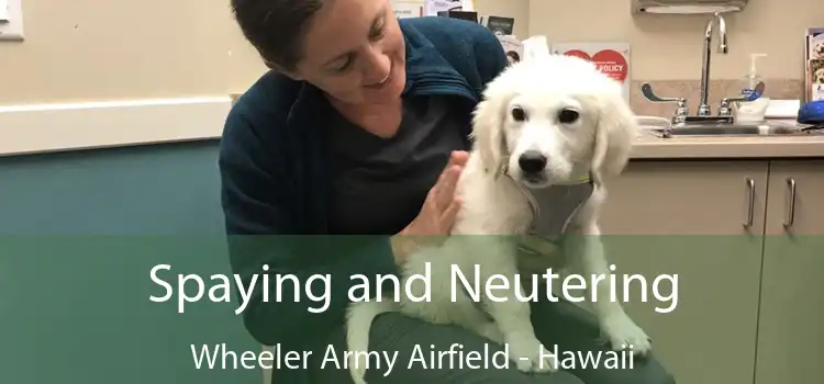 Spaying and Neutering Wheeler Army Airfield - Hawaii