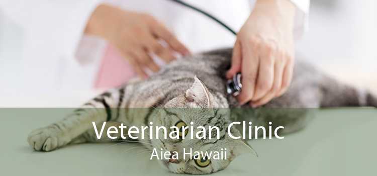 Veterinarian Clinic Aiea Hawaii