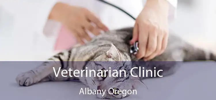 Veterinarian Clinic Albany Oregon