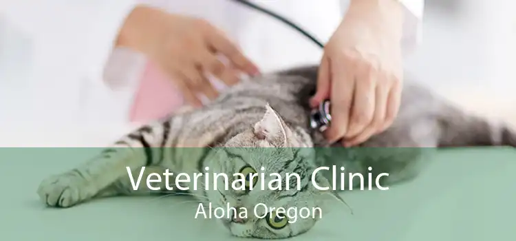 Veterinarian Clinic Aloha Oregon