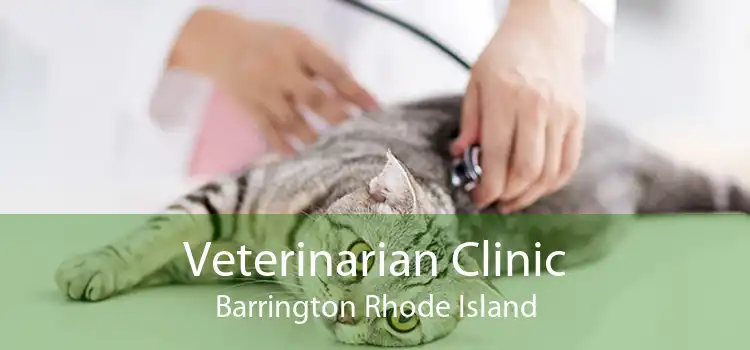 Veterinarian Clinic Barrington Rhode Island