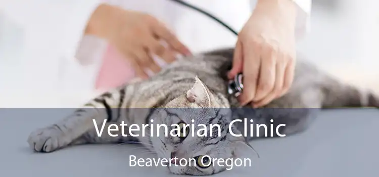 Veterinarian Clinic Beaverton Oregon