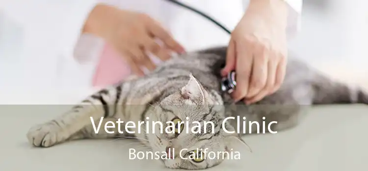 Veterinarian Clinic Bonsall California
