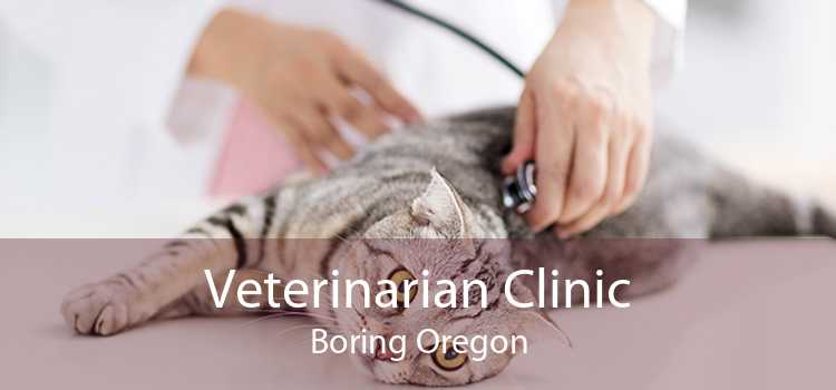 Veterinarian Clinic Boring Oregon