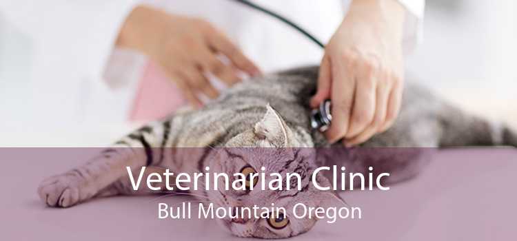 Veterinarian Clinic Bull Mountain Oregon
