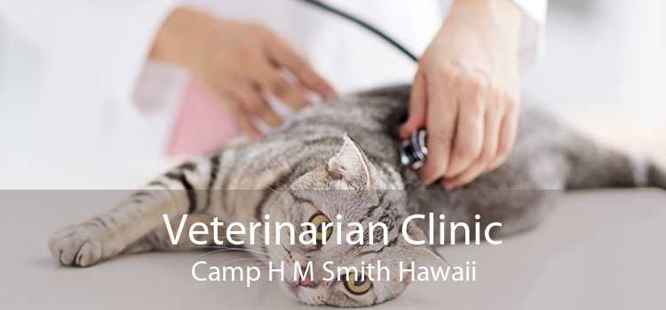 Veterinarian Clinic Camp H M Smith Hawaii