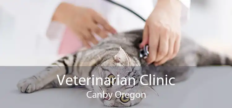 Veterinarian Clinic Canby Oregon