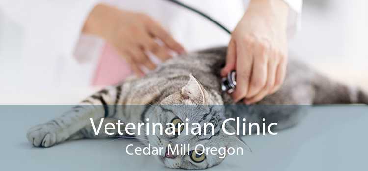 Veterinarian Clinic Cedar Mill Oregon