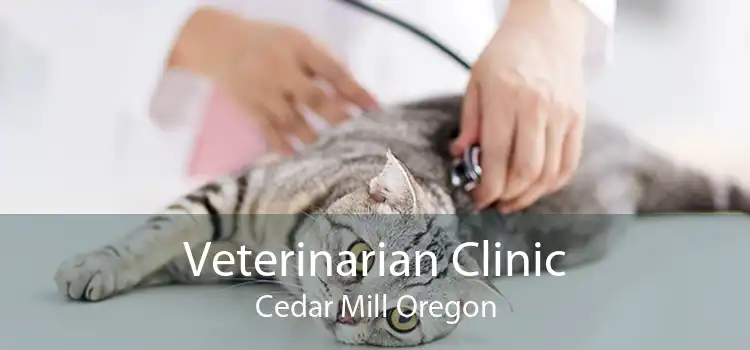 Veterinarian Clinic Cedar Mill Oregon