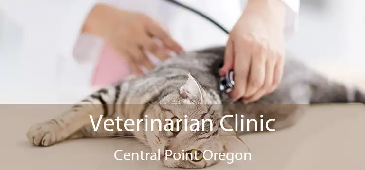 Veterinarian Clinic Central Point Oregon