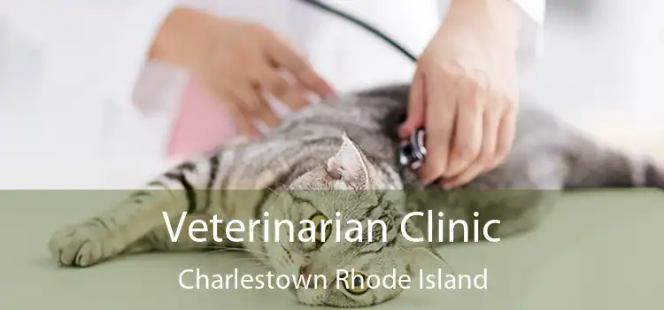 Veterinarian Clinic Charlestown Rhode Island