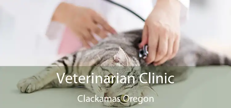 Veterinarian Clinic Clackamas Oregon