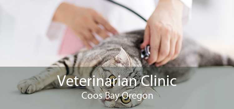 Veterinarian Clinic Coos Bay Oregon
