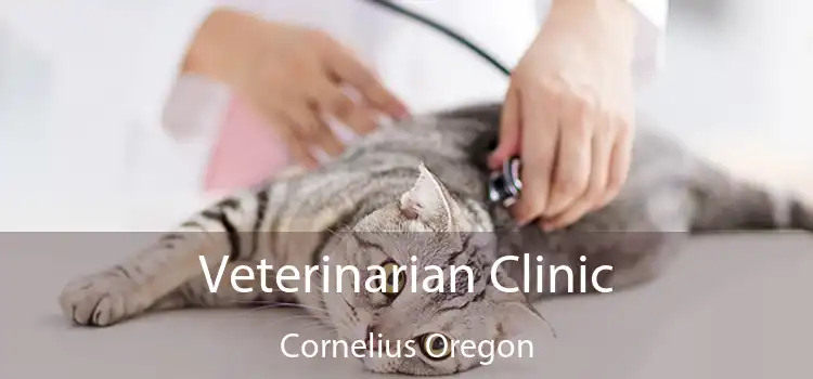 Veterinarian Clinic Cornelius Oregon