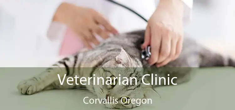 Veterinarian Clinic Corvallis Oregon