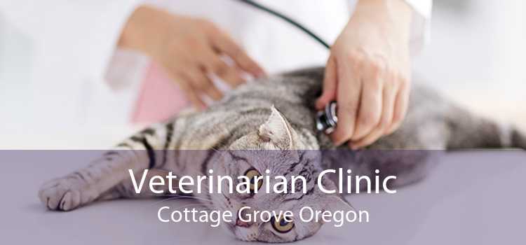 Veterinarian Clinic Cottage Grove Oregon