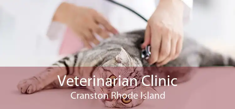 Veterinarian Clinic Cranston Rhode Island