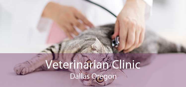 Veterinarian Clinic Dallas Oregon