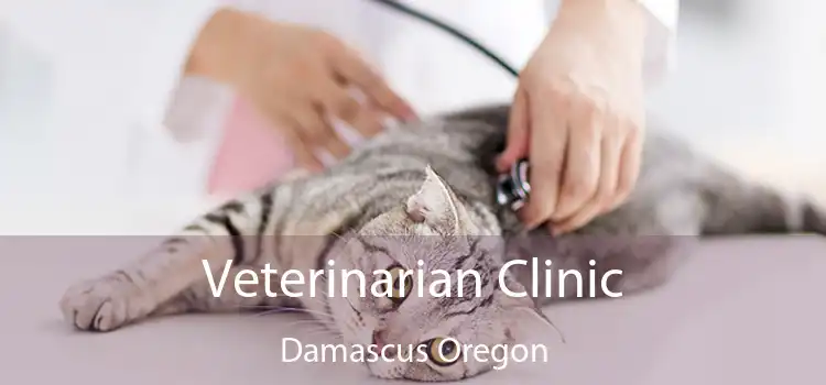 Veterinarian Clinic Damascus Oregon