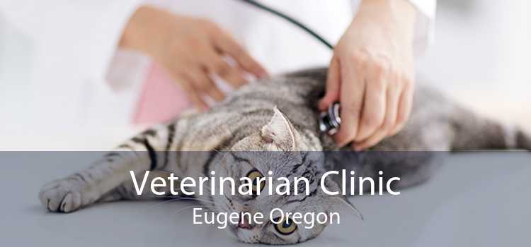 Veterinarian Clinic Eugene Oregon
