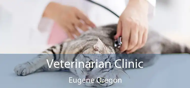 Veterinarian Clinic Eugene Oregon