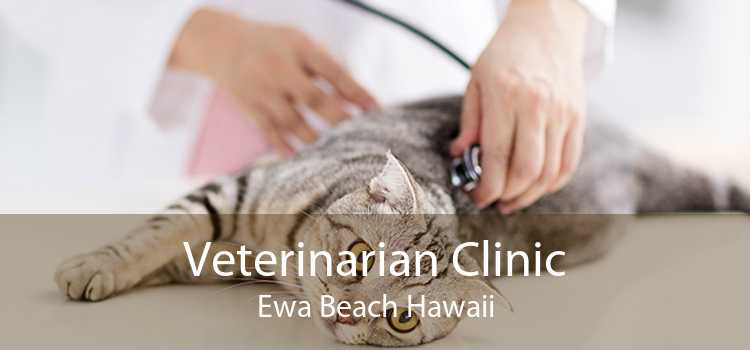 Veterinarian Clinic Ewa Beach Hawaii