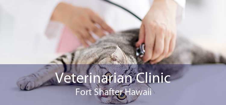 Veterinarian Clinic Fort Shafter Hawaii