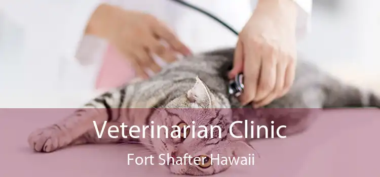 Veterinarian Clinic Fort Shafter Hawaii