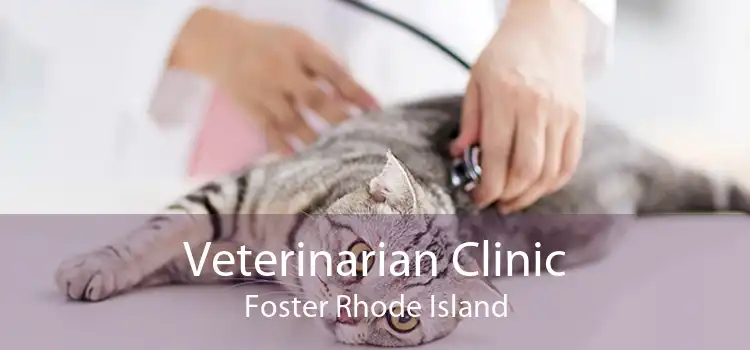 Veterinarian Clinic Foster Rhode Island