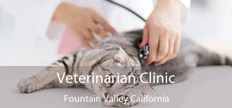 Veterinarian Clinic Fountain Valley California