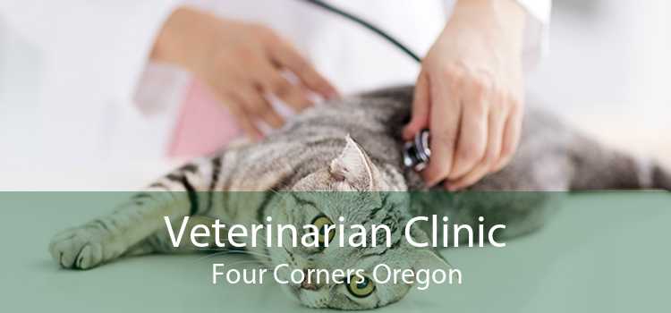 Veterinarian Clinic Four Corners Oregon