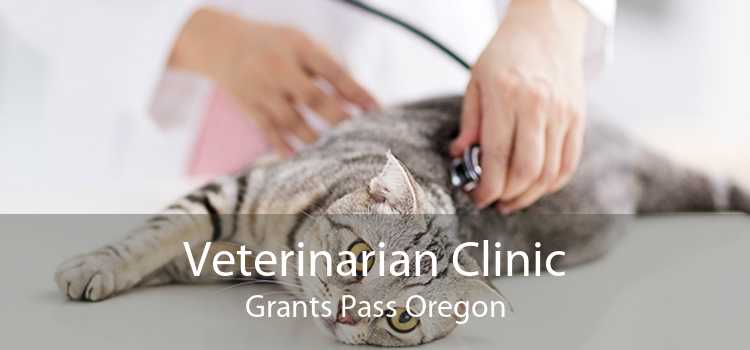 Veterinarian Clinic Grants Pass Oregon