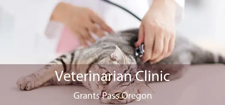 Veterinarian Clinic Grants Pass Oregon