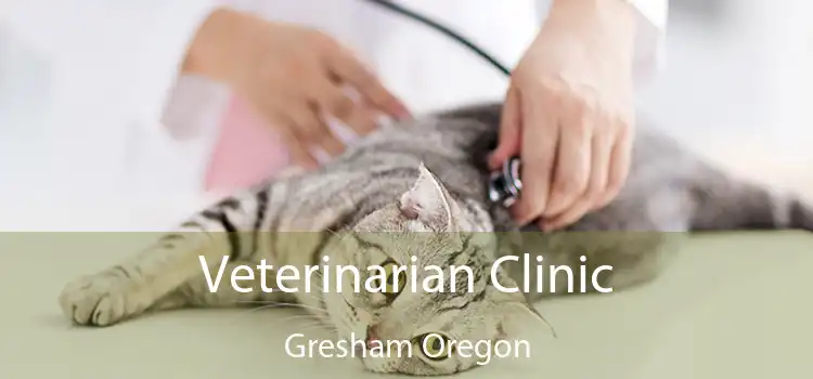 Veterinarian Clinic Gresham Oregon