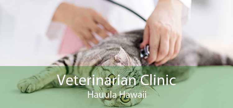 Veterinarian Clinic Hauula Hawaii